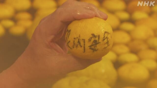 Visitors enjoyed the yuzu bath while being wrapped in the refreshing scent of yuzu in the bathtub.